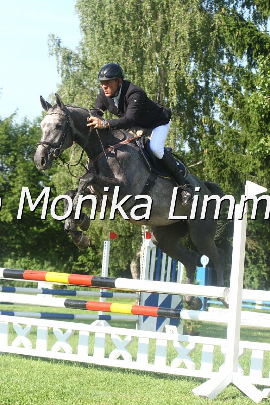 308M9339_Cinderella_Springpferde A.JPG